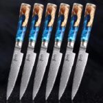 professional japanese chef knife set.jpg