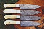 steak knife set