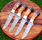 Steak Knives Set