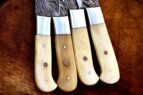 steak knife set